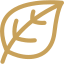 leaf icon